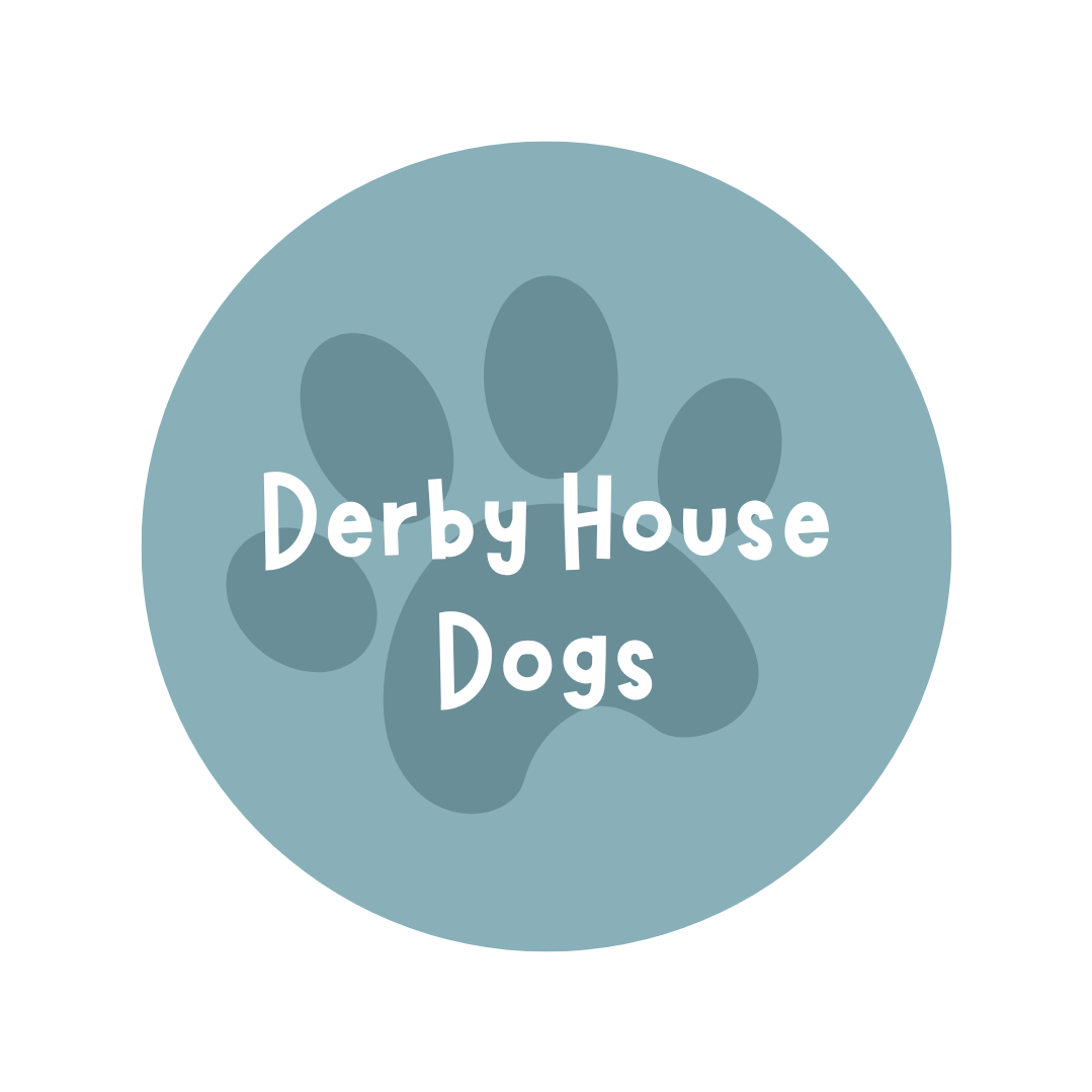 Derby House Dogs